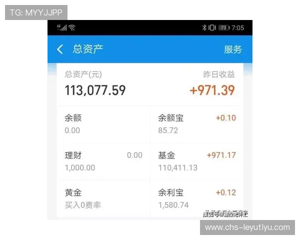 乐鱼账户如何查询余额快速掌握你的资金状况